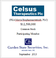 GSS Capital Group selected transaction — Celsus