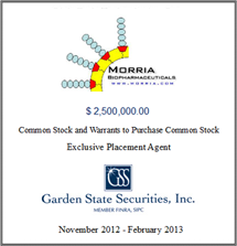 GSS Capital Group selected transaction — Morria
