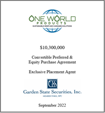 GSS Capital Group selected transaction — Oneworld · Sept2022