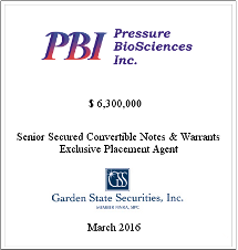 GSS Capital Group selected transaction — Pbi2
