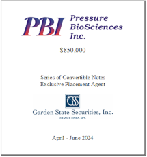 GSS Capital Group selected transaction — Pbi · Aprjun2024