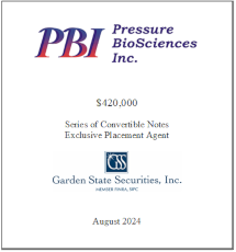 GSS Capital Group selected transaction — Pbi · Aug2024