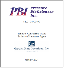 GSS Capital Group selected transaction — Pbi · Jan2024