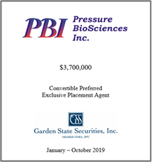 GSS Capital Group selected transaction — Pbi · Janoct2019