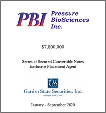 GSS Capital Group selected transaction — Pbi · Jansept2020