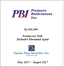 GSS Capital Group selected transaction — Pbi · May2017aug2017