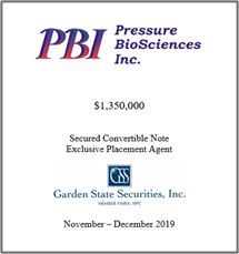 GSS Capital Group selected transaction — Pbi · Novdec2019