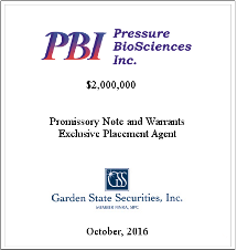 GSS Capital Group selected transaction — Pbi · Oct · 2016