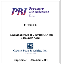 GSS Capital Group selected transaction — Pbi