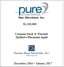 GSS Capital Group selected transaction — Pure · Dec · 2016 · Jan · 2017
