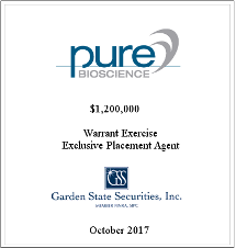 GSS Capital Group selected transaction — Pure · Oct2017