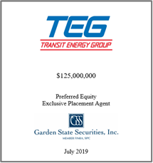 GSS Capital Group selected transaction — Teg · July2019