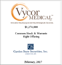 GSS Capital Group selected transaction — Vycor · Febr · 2017