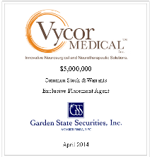 GSS Capital Group selected transaction — Vycor